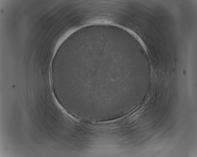 X0000078291295200611031222