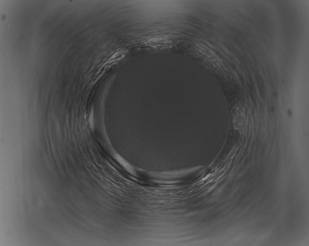 X0000078291298200611031221