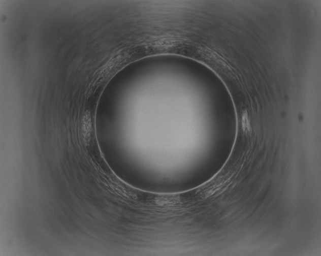 X0000078291299200611031221