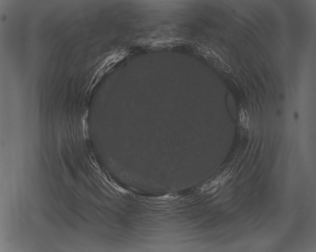 X0000078291300200611031221