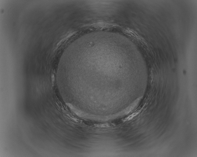 X0000078291302200611031221