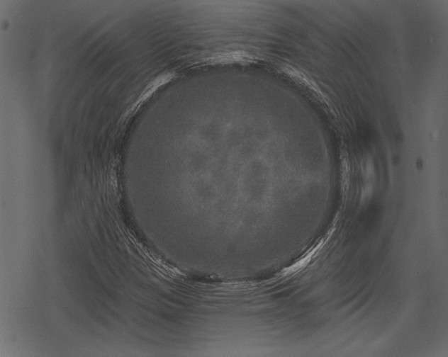 X0000078291305200611031221