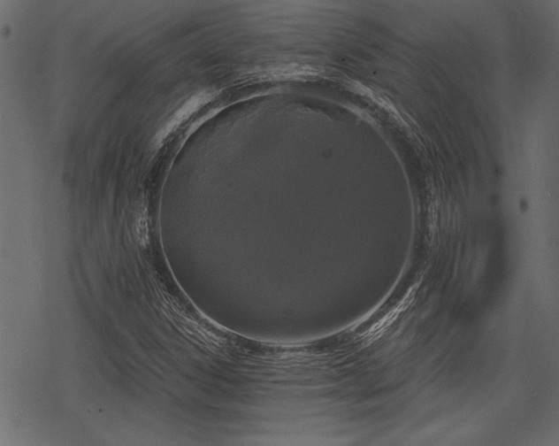 X0000078291306200611031221