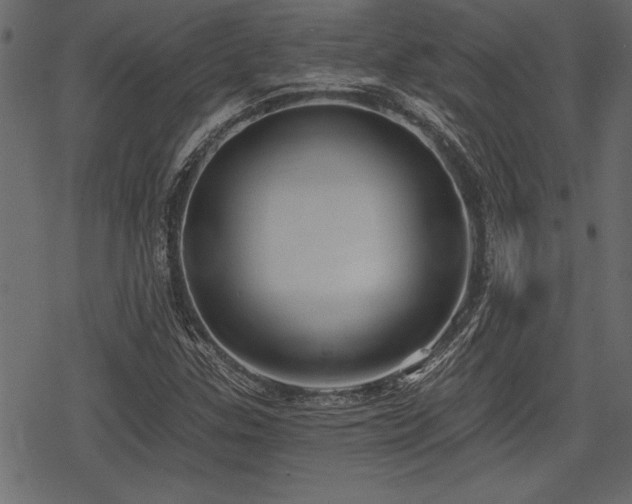 X0000078291307200611031221