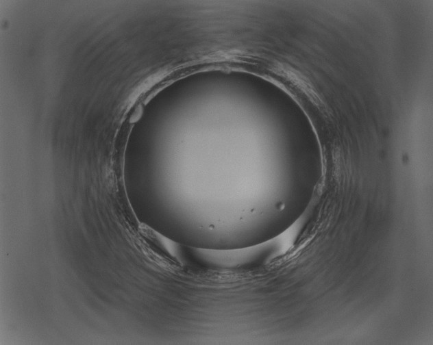 X0000078291308200611031221