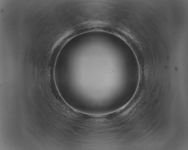 X0000078291309200611031221