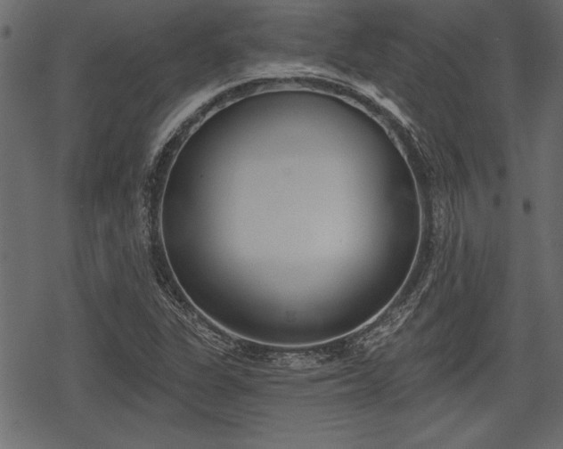 X0000078291311200611031221