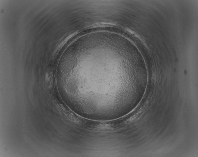 X0000078291313200611031222