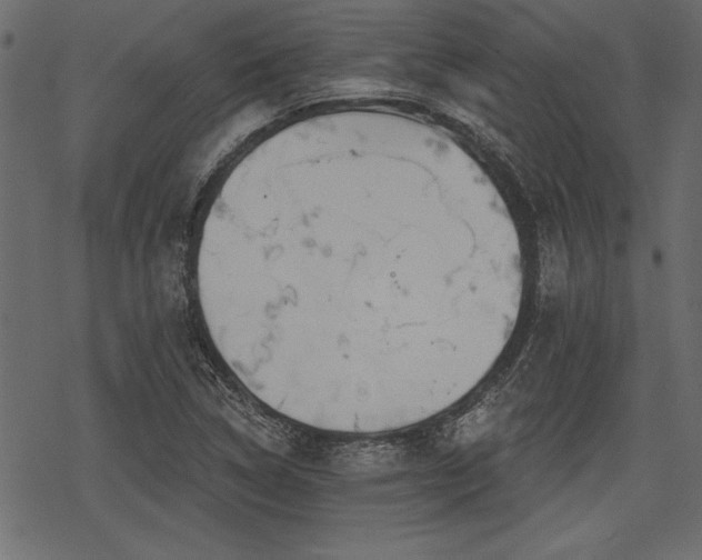 X0000078291314200611031222