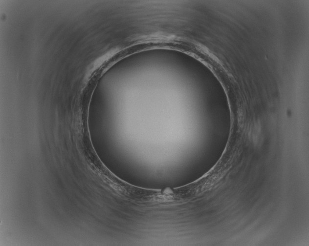 X0000078291315200611031222