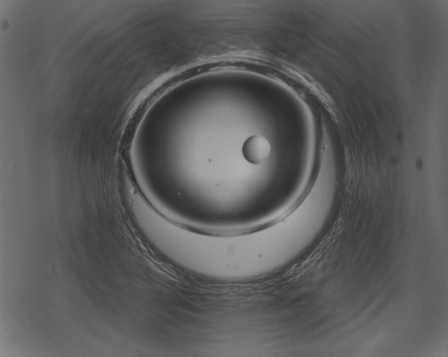 X0000078291316200611031222