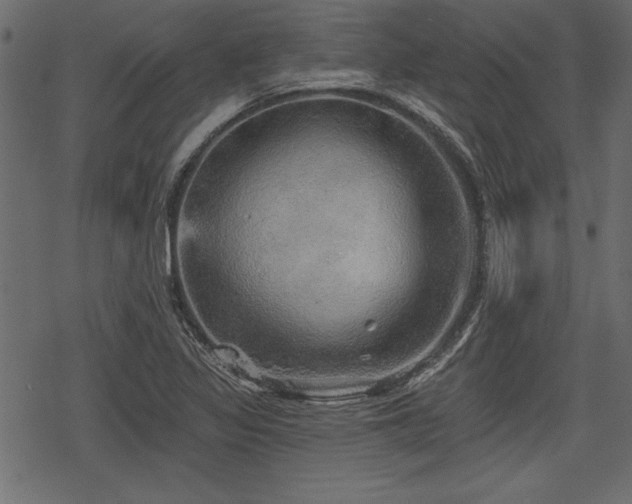 X0000078291317200611031222