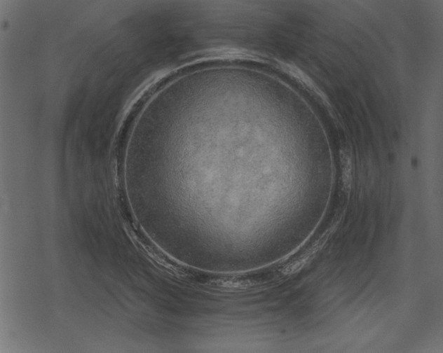 X0000078291318200611031222