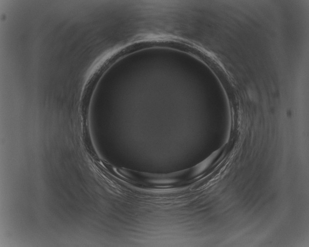 X0000078291319200611031222