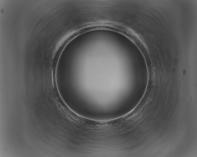 X0000078291320200611031222