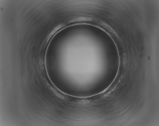 X0000078291321200611031222