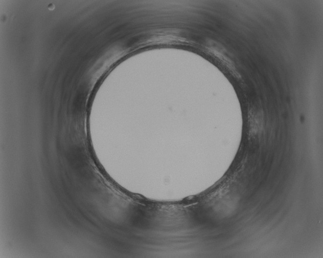 X0000078291322200611031222