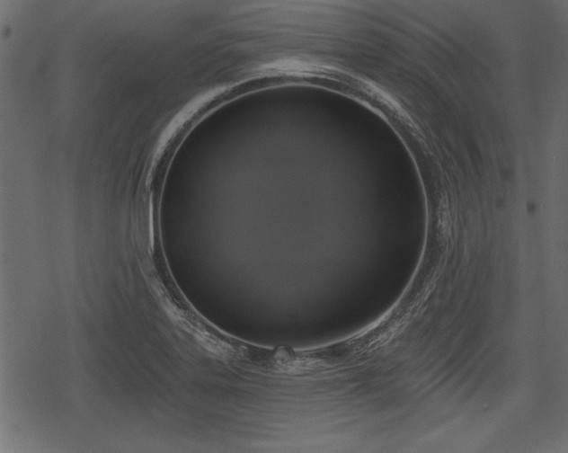 X0000078291323200611031222