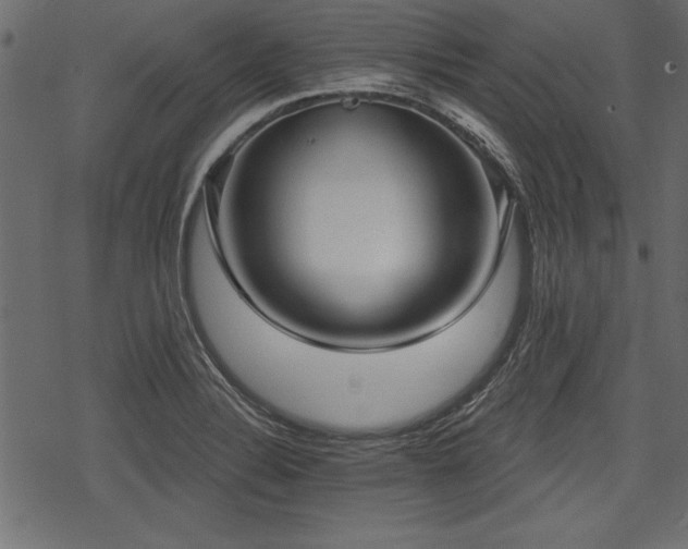 X0000078291324200611031222