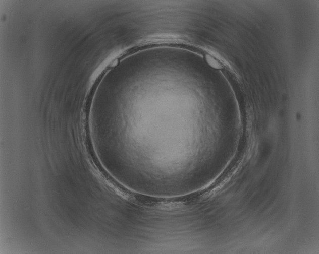 X0000078291325200611031222