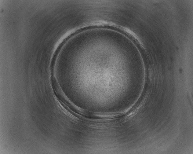 X0000078291326200611031222