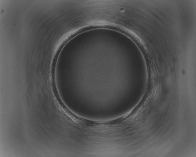 X0000078291327200611031222