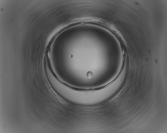 X0000078291328200611031222