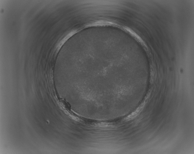 X0000078291329200611031222