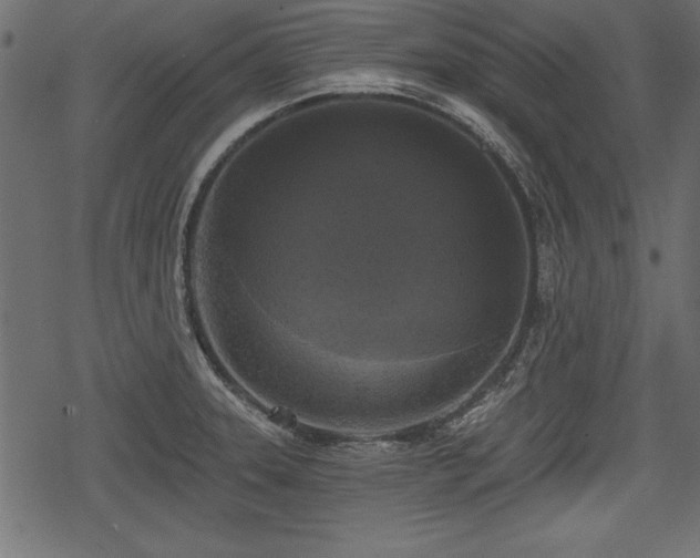 X0000078291331200611031222