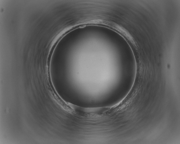 X0000078291332200611031222