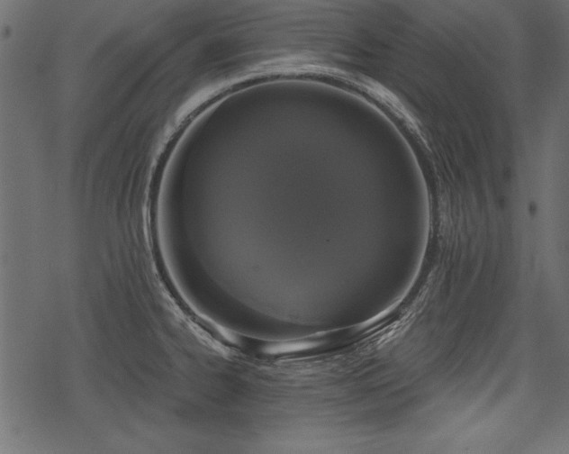 X0000078291334200611031222