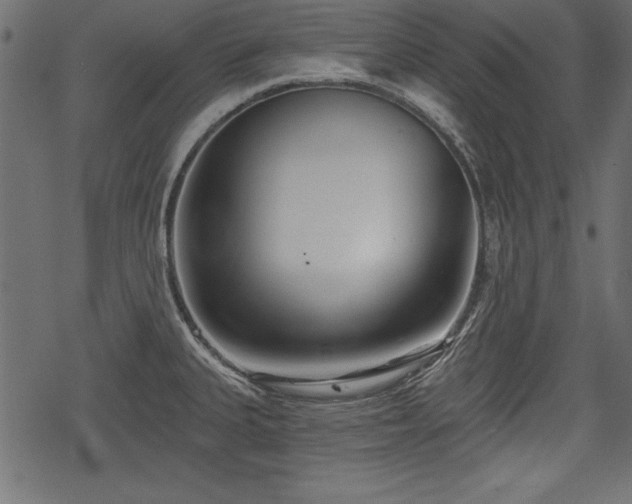 X0000078291335200611031222