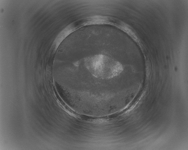 X0000078291337200611031222