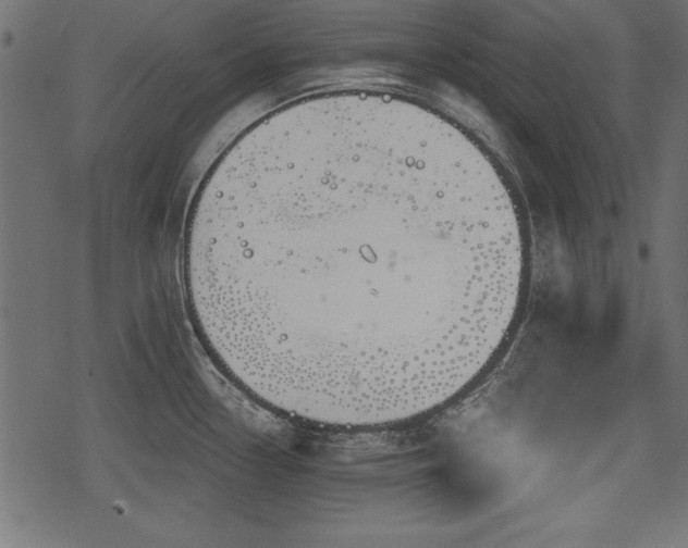 X0000078291338200611031222