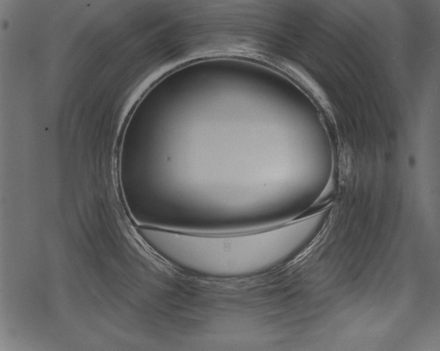 X0000078291340200611031222