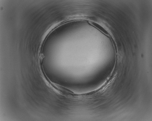 X0000078291341200611031222