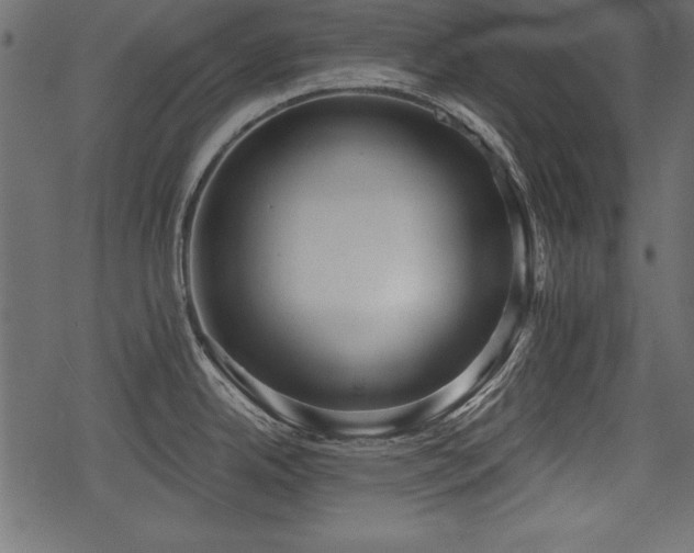 X0000078291342200611031222