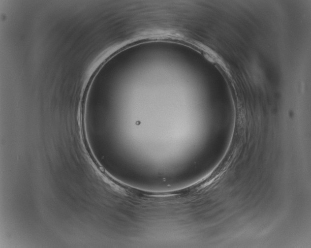 X0000078291343200611031222