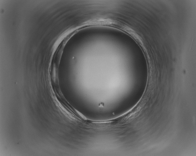 X0000078291344200611031222