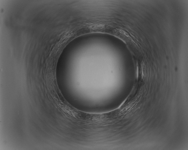 X0000078291345200611031221