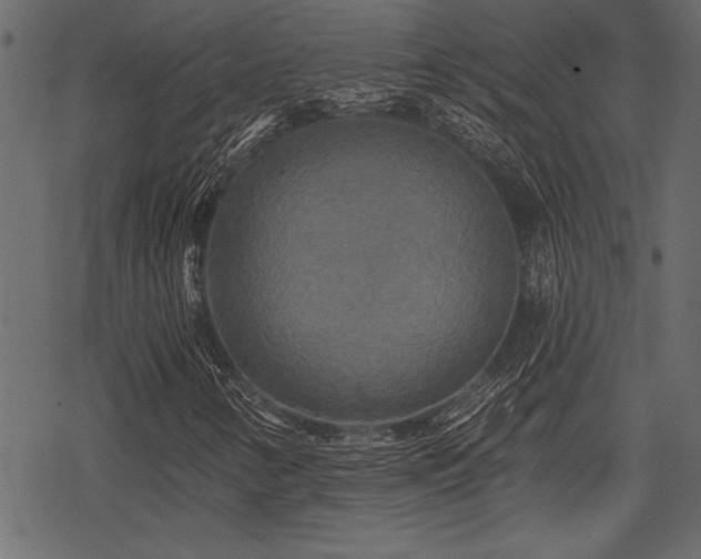 X0000078291346200611031221