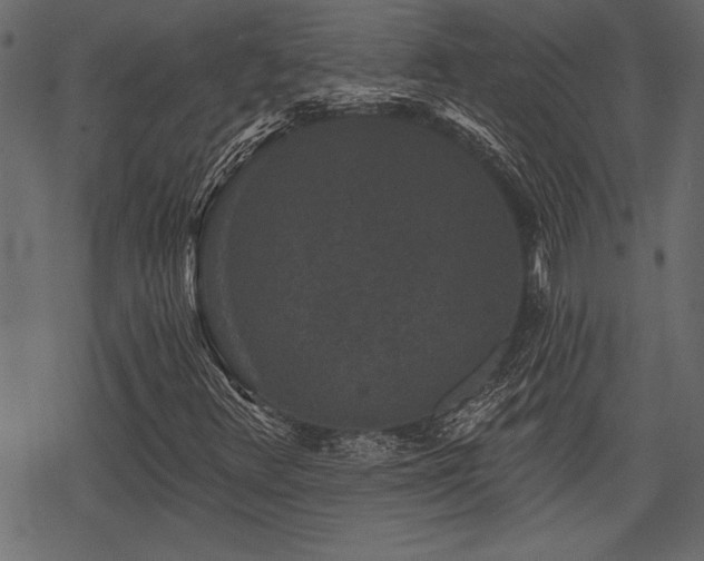 X0000078291348200611031221