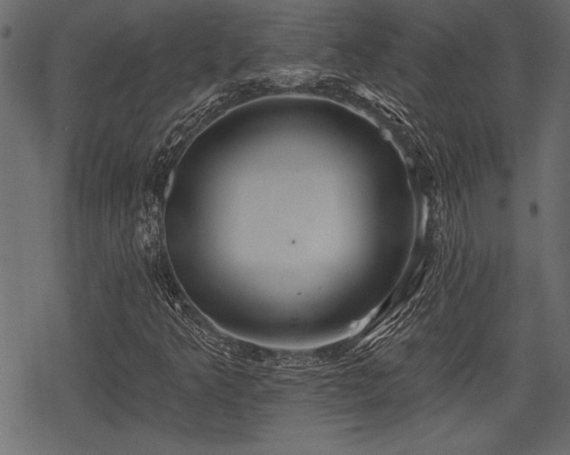 X0000078291349200611031221