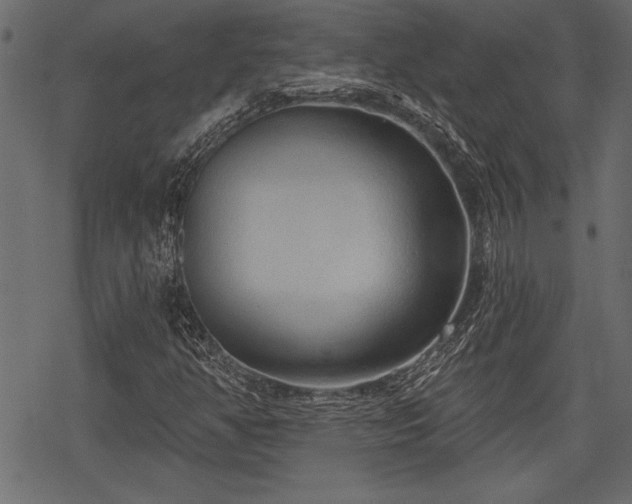 X0000078291350200611031221