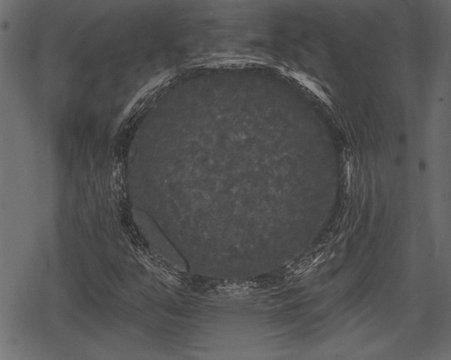 X0000078291351200611031221