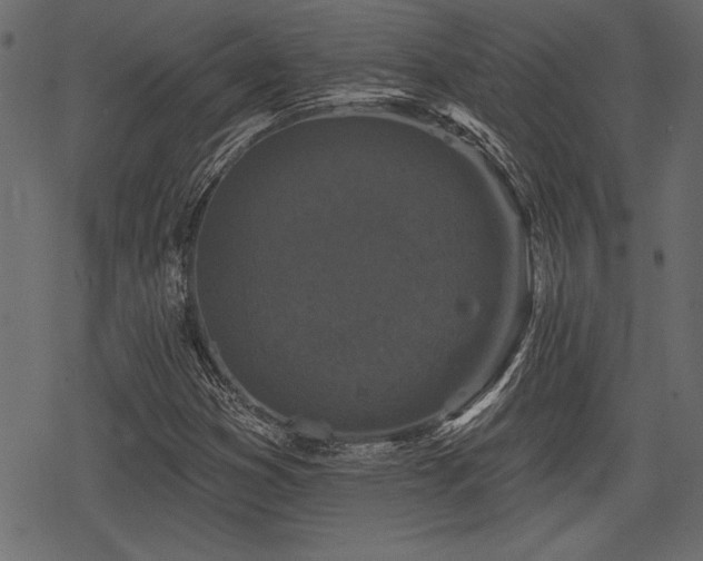 X0000078291353200611031221