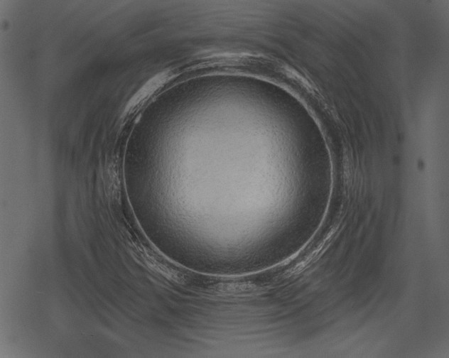 X0000078291354200611031221