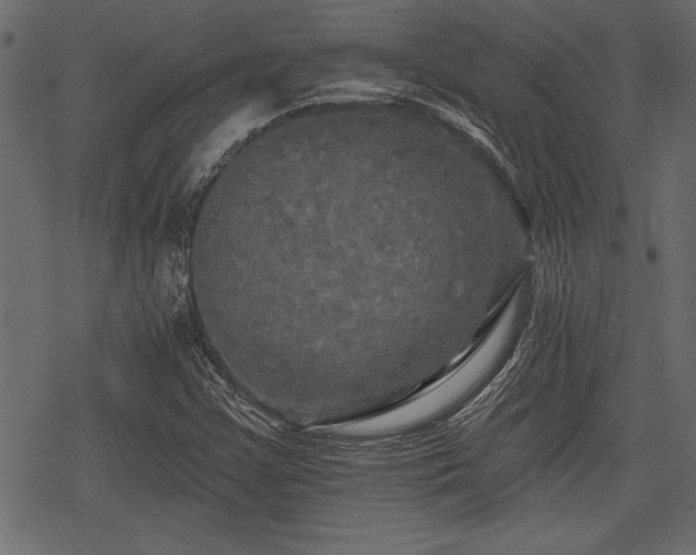 X0000078291355200611031221