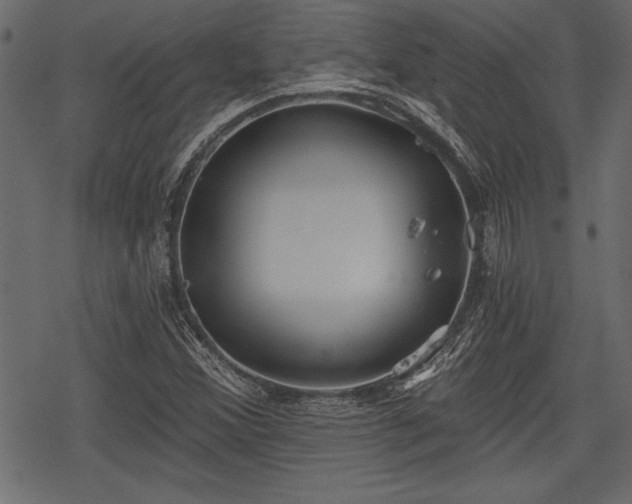 X0000078291356200611031221