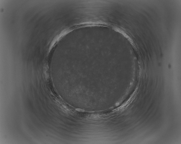 X0000078291357200611031221